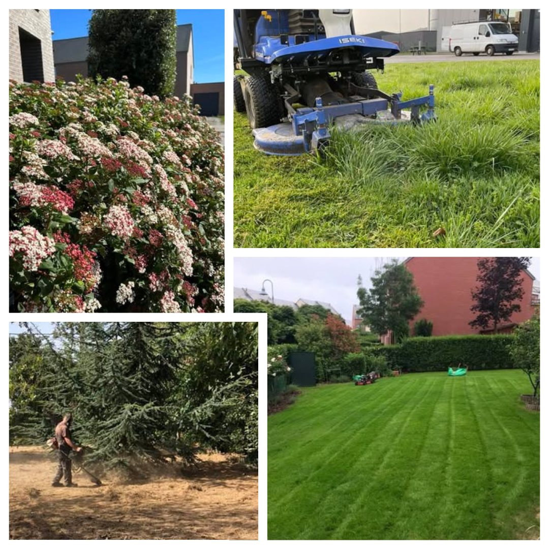 évacuation des déchets verts, entretien, désherbage