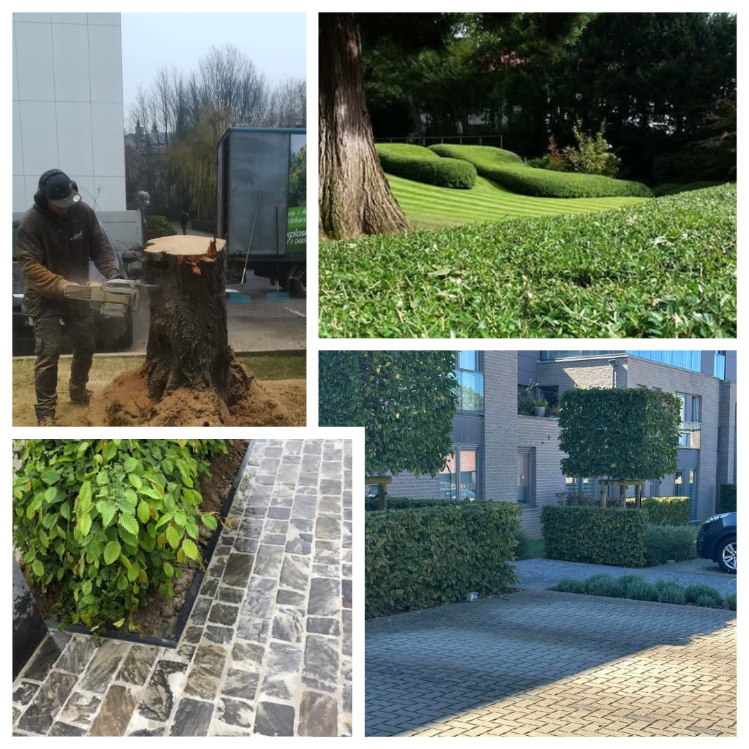 parcs et jardins, abattage et élagage, création de pelouse