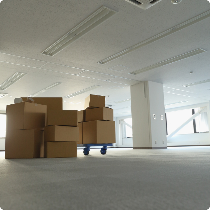 Accompagnement, véhicule, capacité, chargement, déchargement, professionnel
