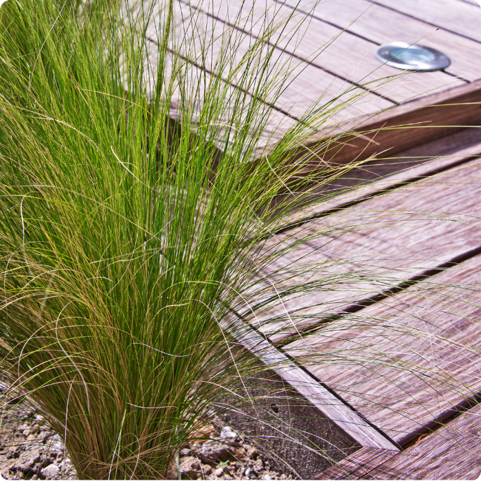 nouvelle terrasse, équipements, container, clôture, jardin, espaces verts