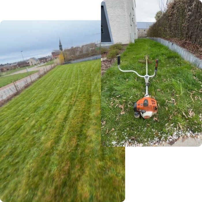Entretien, haie, pelouse, gazon, arbres, arbustes, taille, élagage, abattage, espaces verts
