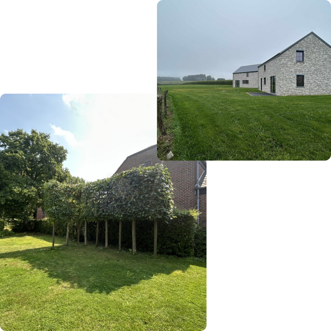 création de pelouse, entretien de jardin, extérieur 
