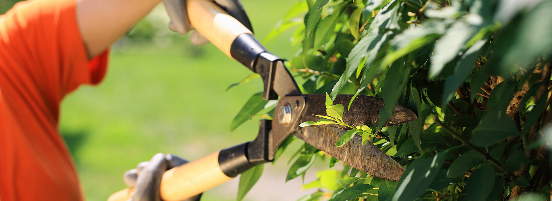 Jardinage, esapces verts, jardins, entretien