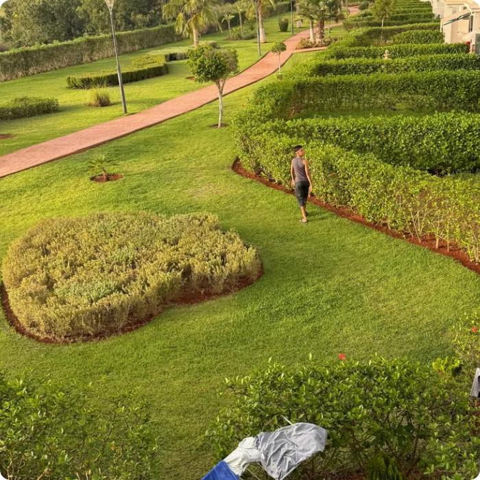 espaces verts, haies, pelouse, gazon, arbre, entretien, tonte, jardins, parcs, 
                      extérieurs, jardinage, végétaux, abords