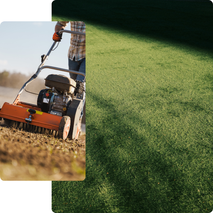 scarification, herbe, mousse, végétaux, pelouse, terrain