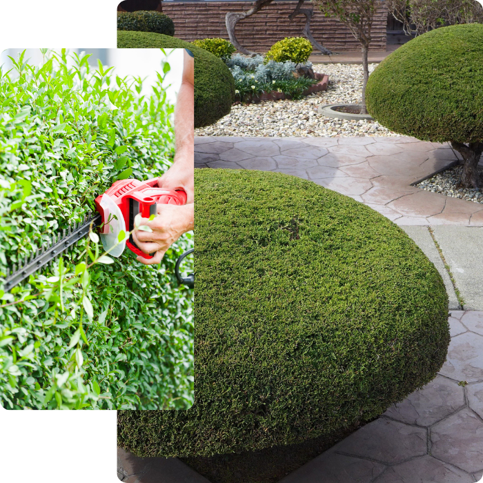 forme, beau jardin, jardinier, entretenir, haie