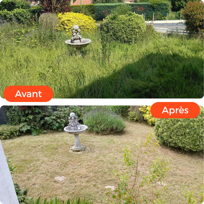 Entretien, jardins, espaces verts, extérieurs, taille, néttoyer, couper, tondre, végétaux