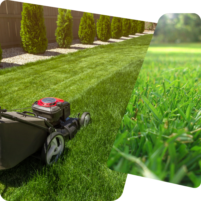 pelouse, entretien, équipements, jardinier
