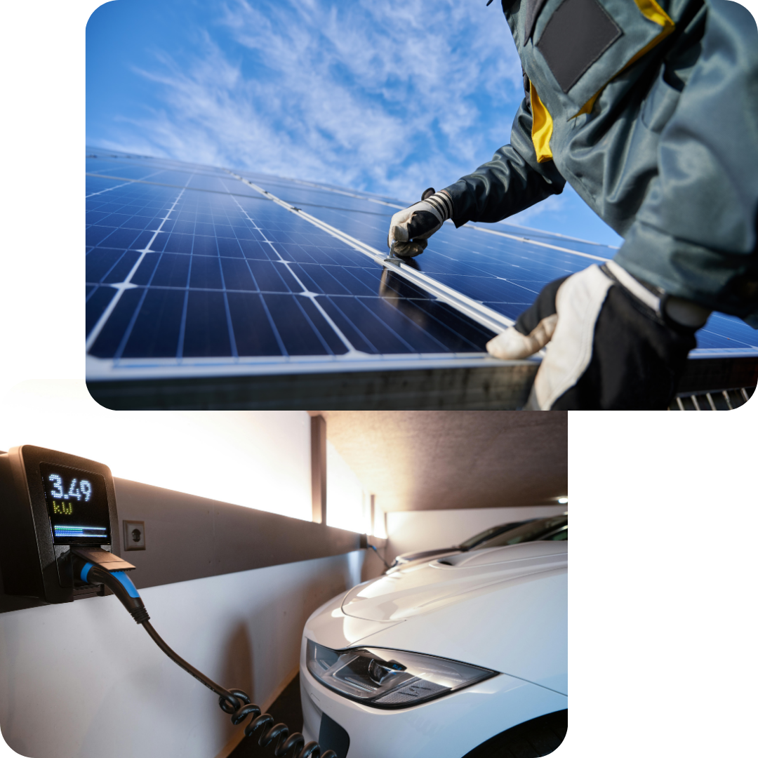 algemene renovatie, renovatiewerken, totaalrenovatie, binnenrenovatie, 
                      woningrenovatie, muren en plafonds, pleisterwerken, binnenafwerking, 
                      schilderwerken, decoratie, nieuwe bekledingen, sanitair, verwarming, 
                      elektriciteitswerken, metaalwerk, gevelrenovatie, gevelbekleding, keukenrenovatie, 
                      badkamerrenovatie