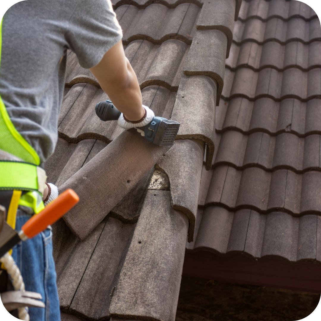 algemene renovatie, renovatiewerken, totaalrenovatie, binnenrenovatie, 
                      woningrenovatie, muren en plafonds, pleisterwerken, binnenafwerking, 
                      schilderwerken, decoratie, nieuwe bekledingen, sanitair, verwarming, 
                      elektriciteitswerken, metaalwerk, gevelrenovatie, gevelbekleding, keukenrenovatie, 
                      badkamerrenovatie