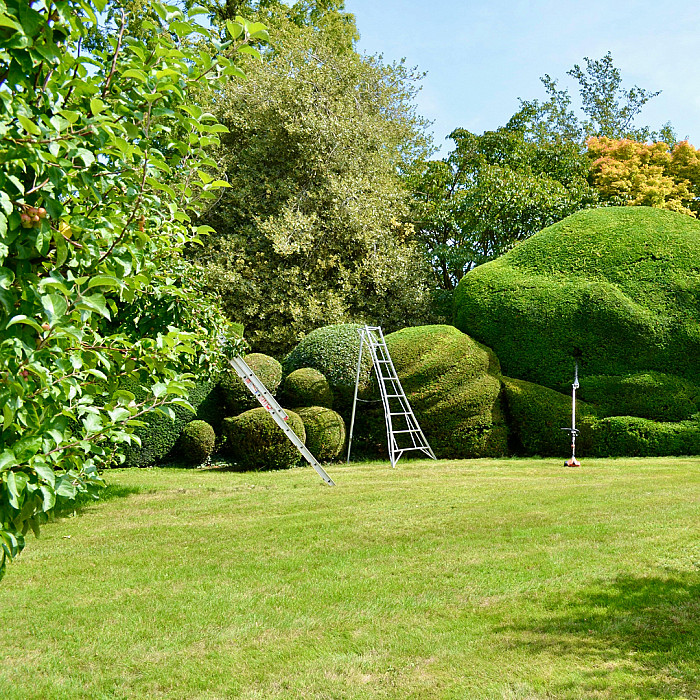 Jardinier, Aménagement de jardin, Entretien de jardin, Jardinier, Terrasse, Terrasse en bois, Pavage, Allée et abords, Clôtures, Drainage, Terrassement, Abris de jardin, Mobilier de jardin sur mesure, Pose de chape, Dalle de sol en béton, Nettoyage de terrasse, Aménagement extérieur, Création de jardin, Entretien espaces verts, Jardin sur mesure, Travaux extérieurs