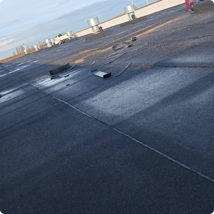 dakwerken, dakbedrijf, dakwerker, dakbedekking, dakrenovatie, dakherstelling, 
                      dakreparatie, dakisolatie, dakonderhoud, plat dak, hellend dak, platte daken, 
                      roofing plaatsen, roofing herstellen, EPDM roofing, bitumen roofing, Derbigum, 
                      dakgoten, zinkwerken, schoorsteenherstelling, kroonlijsten, lichtkoepels, 
                      regenwaterafvoer, daklekkage, infiltratie dak, offerte dakwerken, professionele dakwerker