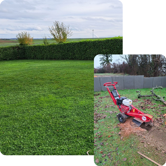 Espace vert, jardin, parc, tonte, herbe, pelouse, gazon, haie, taille, élagage, arbuste