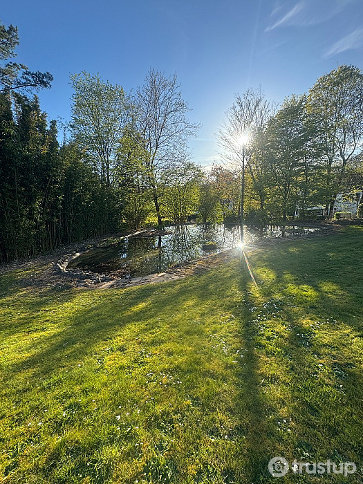 étangs, mares, bassin, plan d'eau, aménagement jardin, jardinier