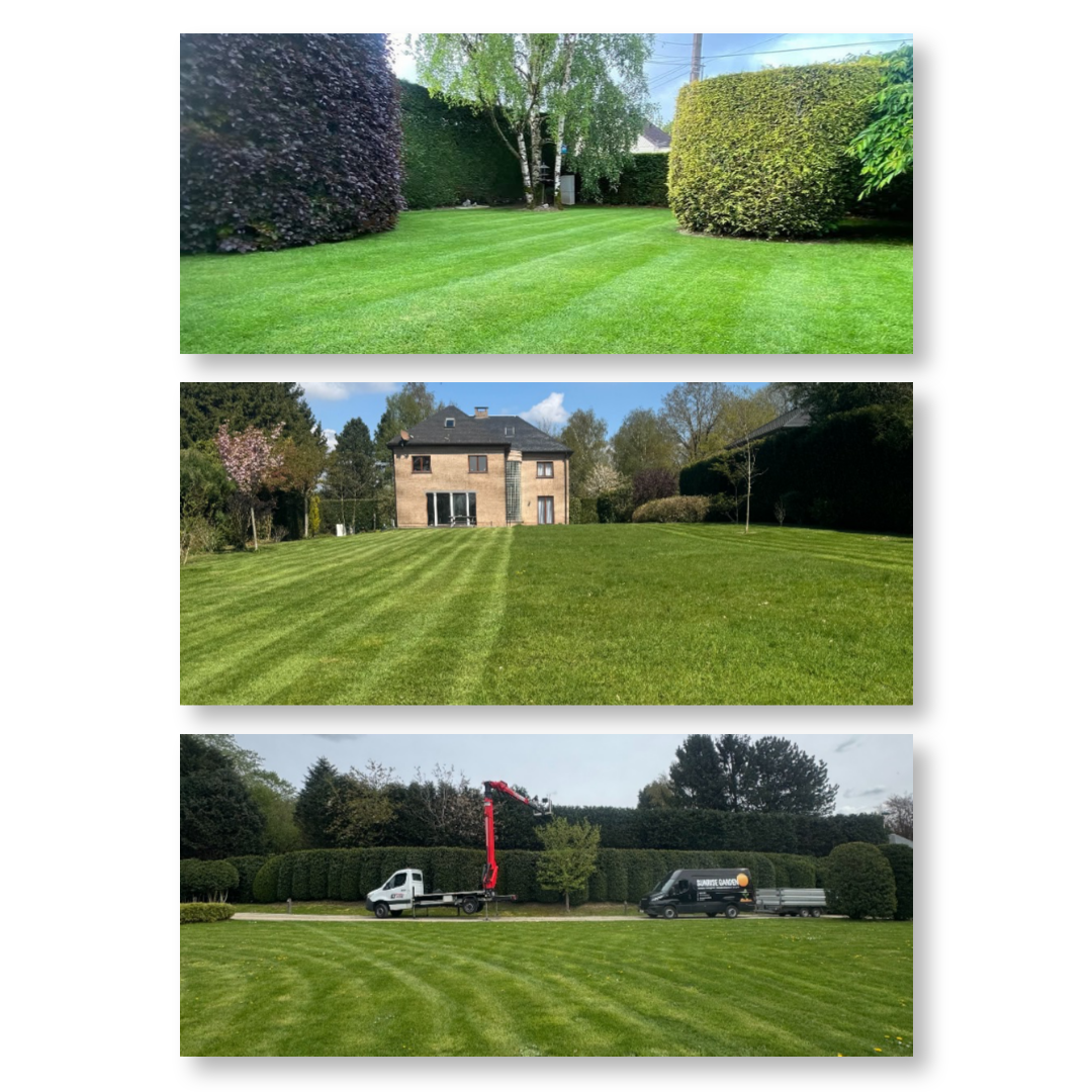Pelouse, rouleau, gazon, sol, jardin, jardinier