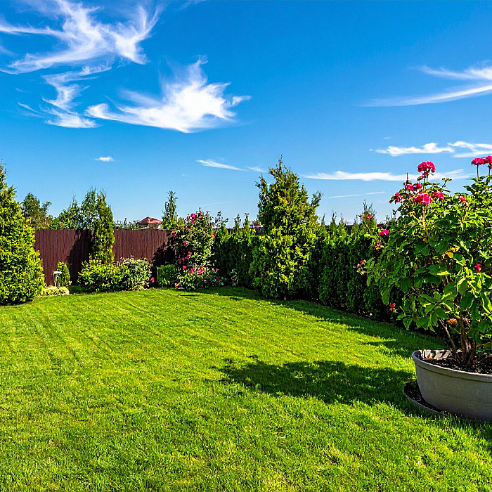 Création et entretien de jardin à Waterloo
