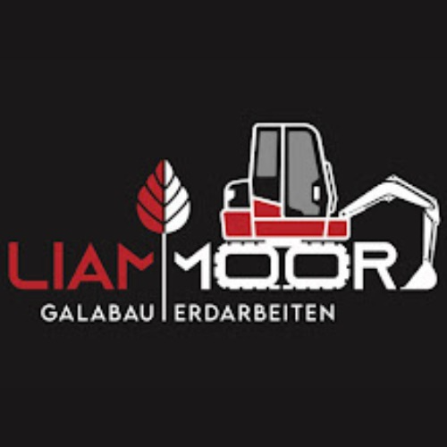 Liam Moor