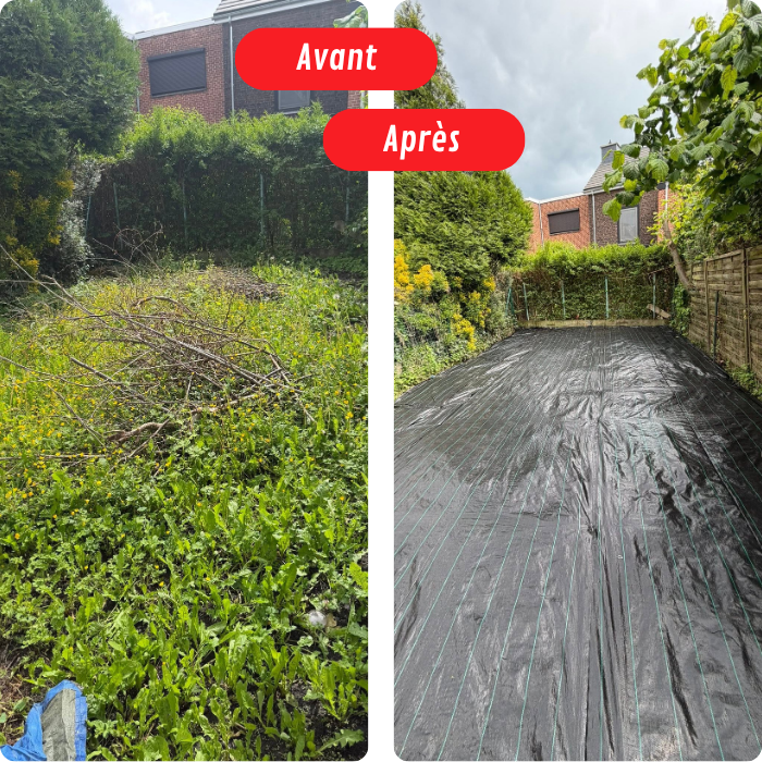 Jardin, entretien, nettoyage, défricher, terrain en friche, élagage, taille haie, arbustes