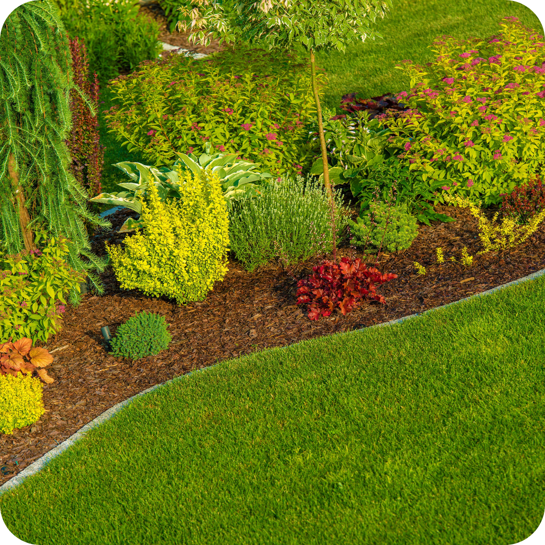 Masifs floraux, fleurs, plantations, plantes