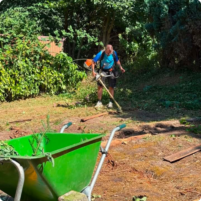 Taille, abattage, nettoyage, défrichage, jardin, extérieur, terrain, déchets verts