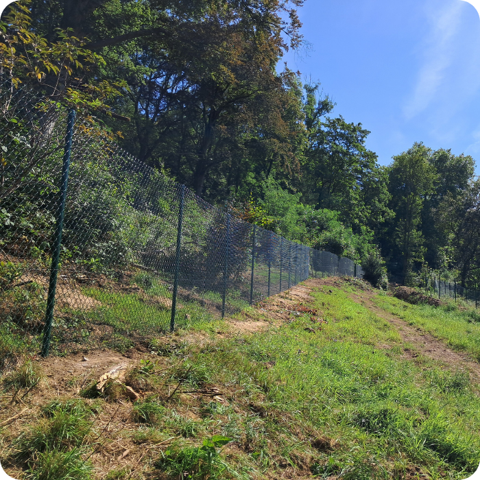 grillage, aligement, pilier, jardin, domaine, propriété