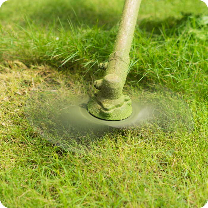 Coupe bordure, débrousailleuse, nettoyage, jardin