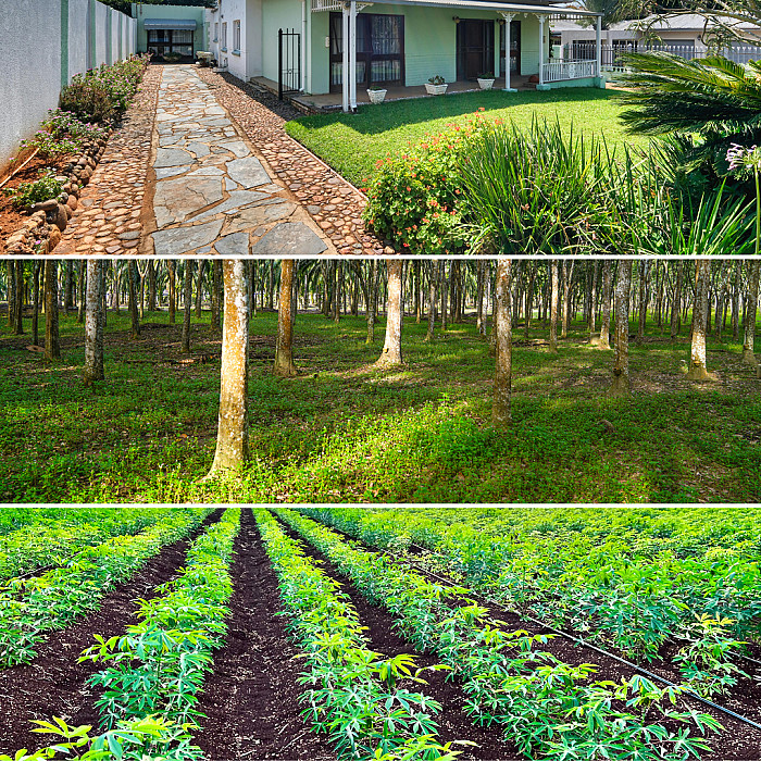 jardinier Sohier, jardinier Rochefort, jardinier Ciney, aménagement extérieur, terrassement, clôtures, pavage, nivellement, allées et abords, tarmac, terrasse, plantation, plantation forestière, plantation agricole, location de container, travaux extérieurs, aménagement jardin, Famenne