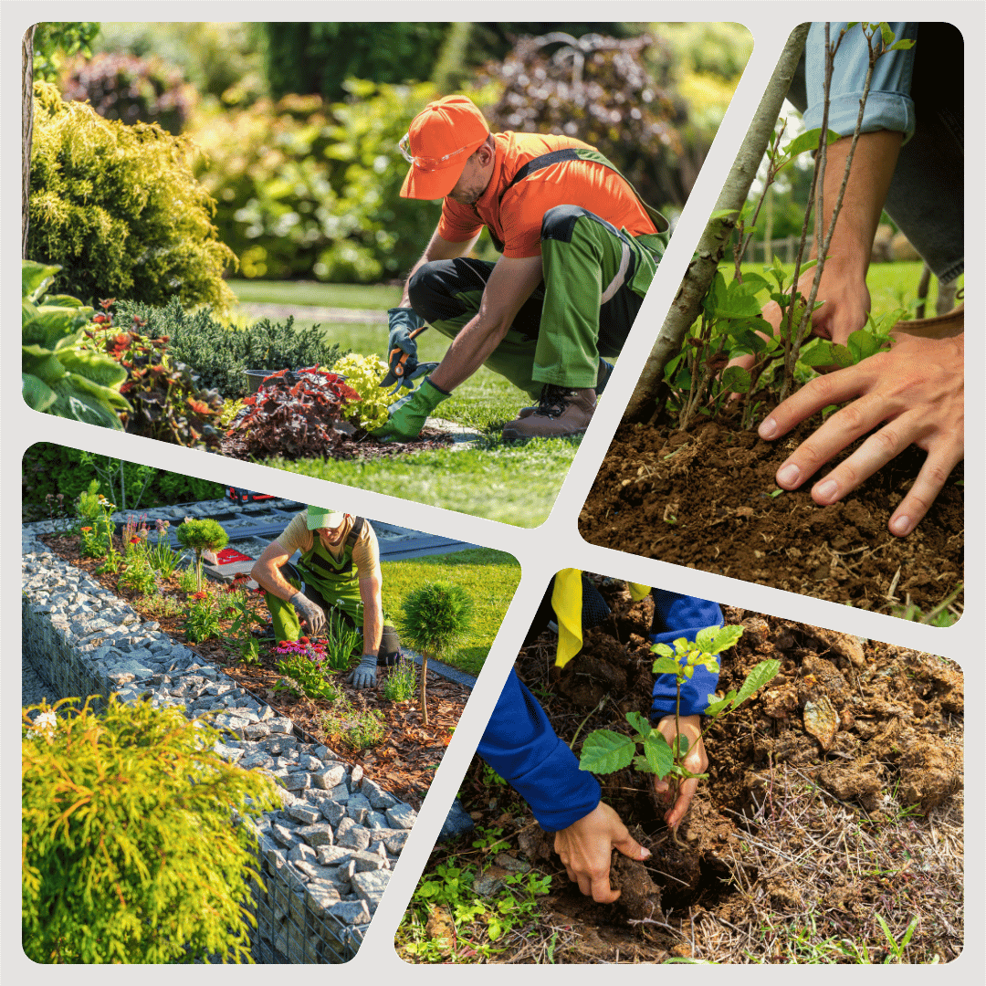 Création, terrasse, jardin, nouvelle terrasse, travaux, aménagement extérieur