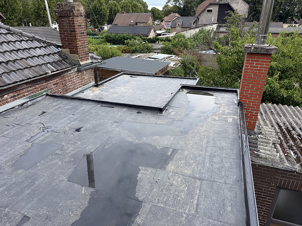 dakwerken Maasmechelen, dakdekker Hasselt, dakrenovatie Tongeren, dakwerken Limburg, dakafdichting, dakisolatie, leien daken, platte daken, VELUX, veranda Maasmechelen, asbestverwijdering, dakgoten, dakpannen, ontmossen daken, dakherstelling, schoorsteenvegen, natuurleien, timmerwerk, kroonlijsten, daktimmerwerk