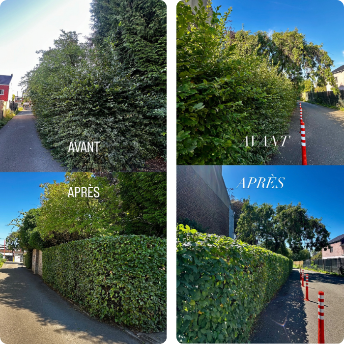 Haie côté rue avant et après la taille par MC Garden près de Fléron
