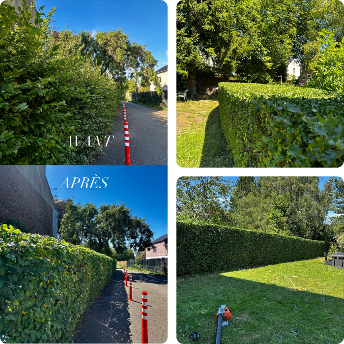 pavage, terrasse, végétations, plantations, entretien sur mesure, contrat