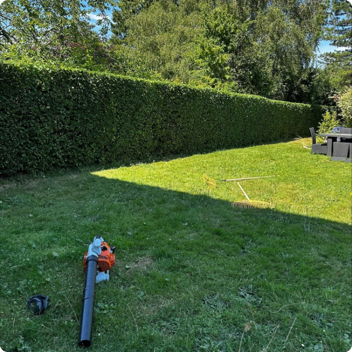 Haie taillée et abords soufflés par MC Garden, jardinier à Fléron