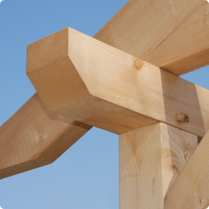 Ossature bois, construction bois, abris de jardin, jardin