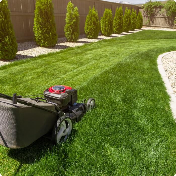 tonte, pelouse, gazon, jardin, parc, entretien, espaces verts