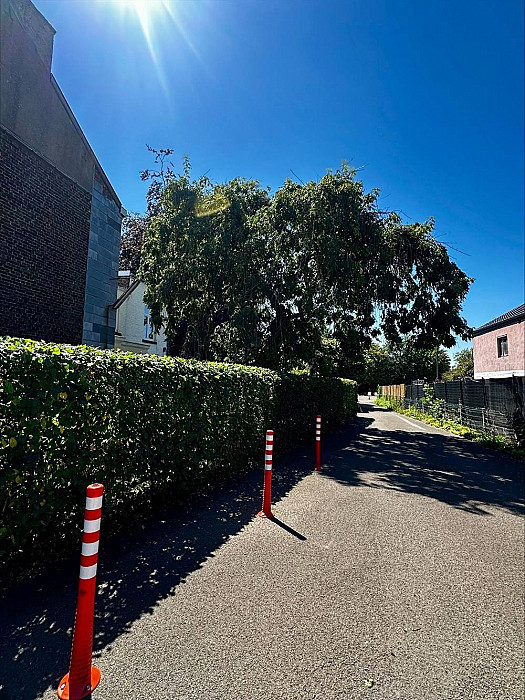 Haie taillée côté rue par MC Garden