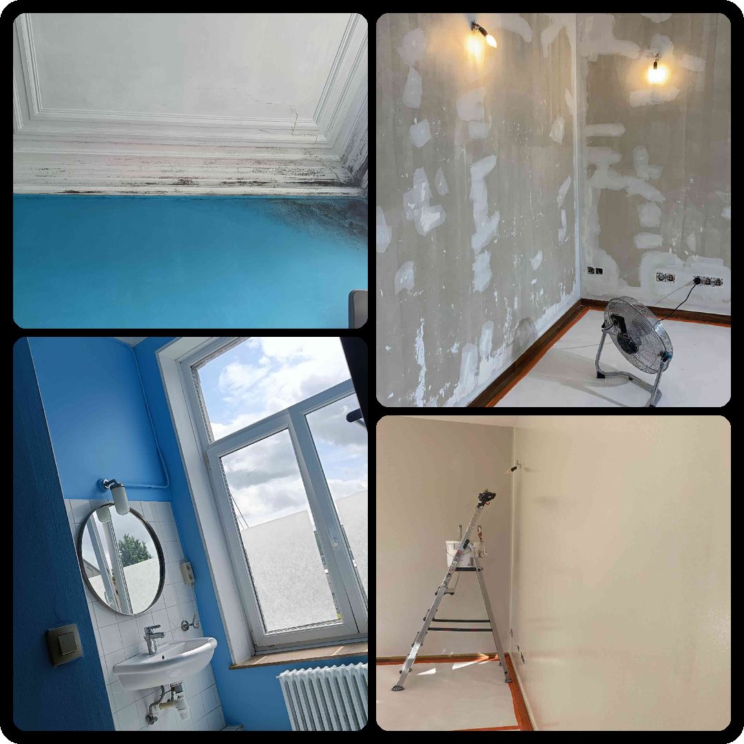 Traitement des fissures et de l’humidité avant peinture par Alexis Peinture