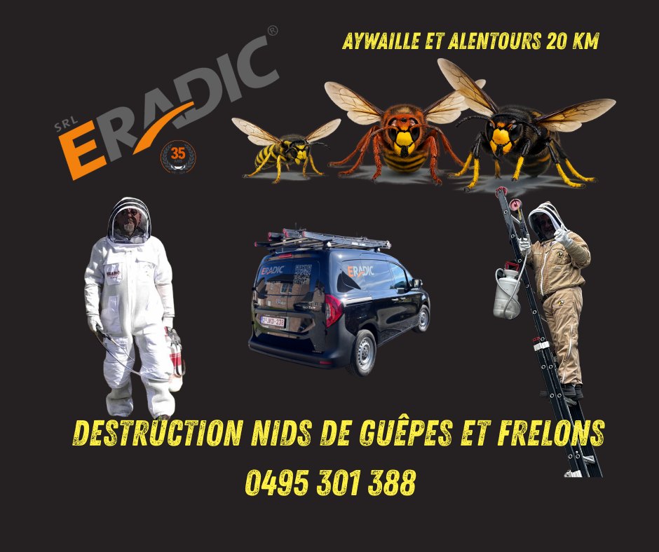Destruction nid de guêpes et frelons - Eradic Srl, Aywaille et 20 km alentour