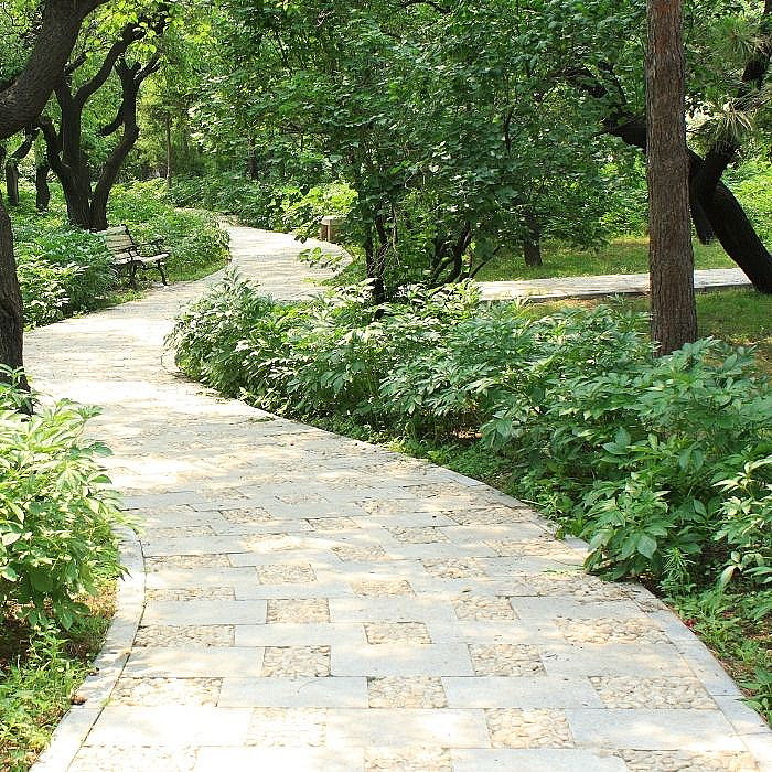 Allée, bordures, chemin, jardin, extérieur, aménagement extérieur