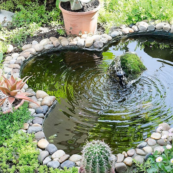 Mares, étangs, plan d'eau, bassin d'eau