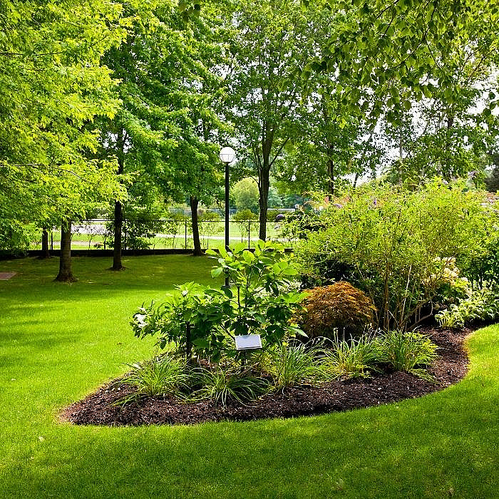 Parcs et jardins, aménagement, parterre, fleurs, plantations
