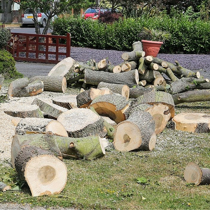 Abattage arbres, bois, jardins, espaces verts, élagage, haies