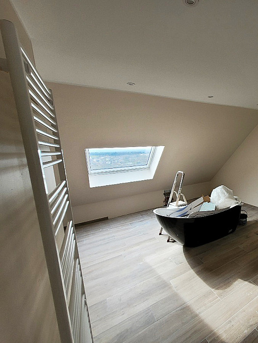 Décoration intérieure, peinture intérieure, Schopp Mike, sols stratifiés, parquet