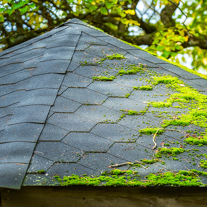Démoussage de Toiture, nettoyage, toiture, démoussage, entretien toiture