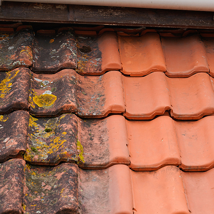 Couvreur, entretien de toiture, anti mousse, nettoyage toiture