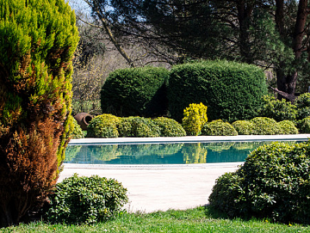 piscine, étang et mare, piscine naturelle, Flémalle, Seraing, Grâce-Hollogne