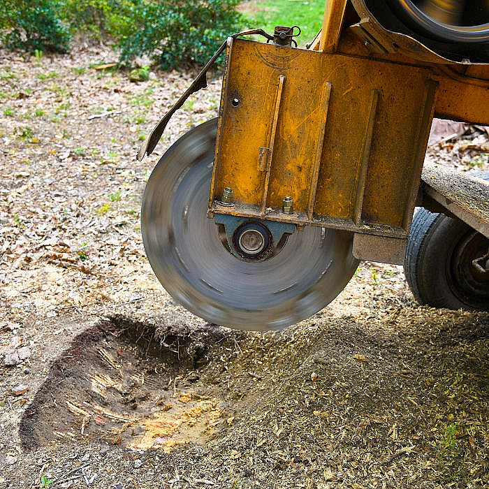 Enlèvement de souches, Dessouchage mécanique, Dessouchage manuel, Extraction de souches, Paysagiste professionnel, Lisbourg, Aire-sur-la-Lys, Auchel