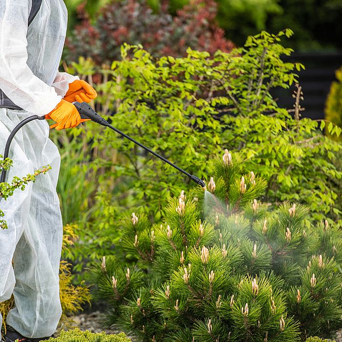 Lutte contre les parasites, Traitement des plantes, Soins phytosanitaires, Protection des végétaux, Paysagiste professionnel, Lisbourg, Aire-sur-la-Lys, Auchel