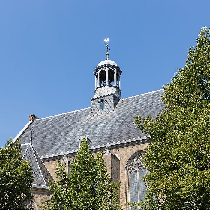 toiture, charpentier, couvreur, ardoisier, étanchéité, rénovation, monuments, entreprise familiale,
			isolation